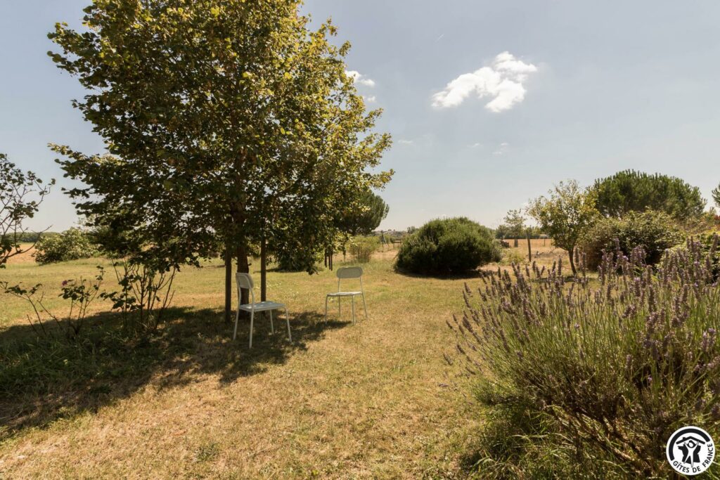 LA GINESTIÈRE