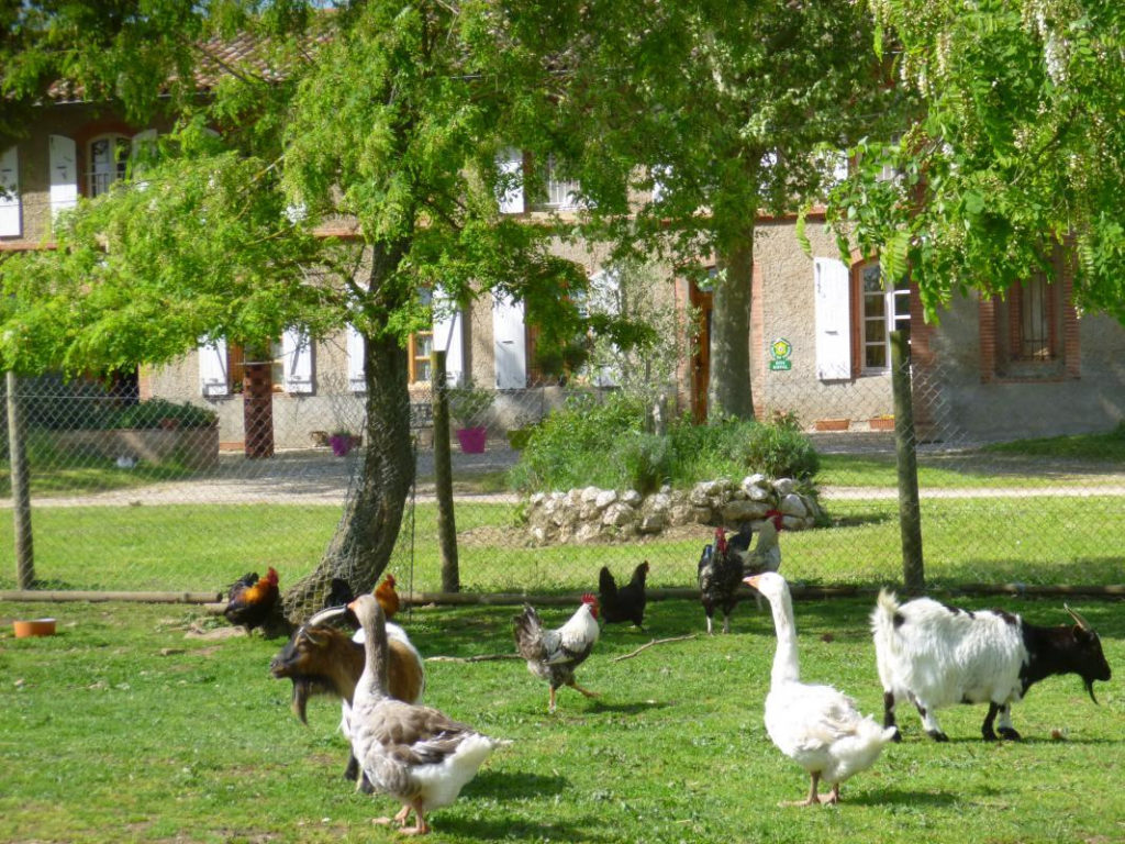 LA GINESTIÈRE