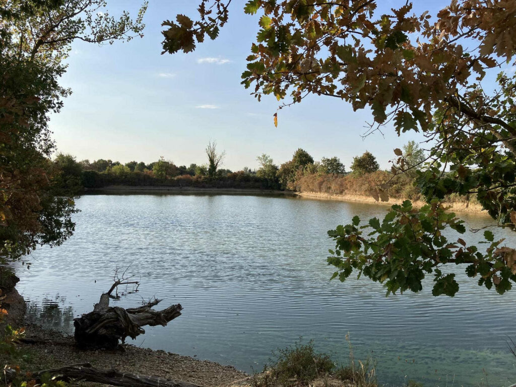 DOMAINE DE LA BORDASSE