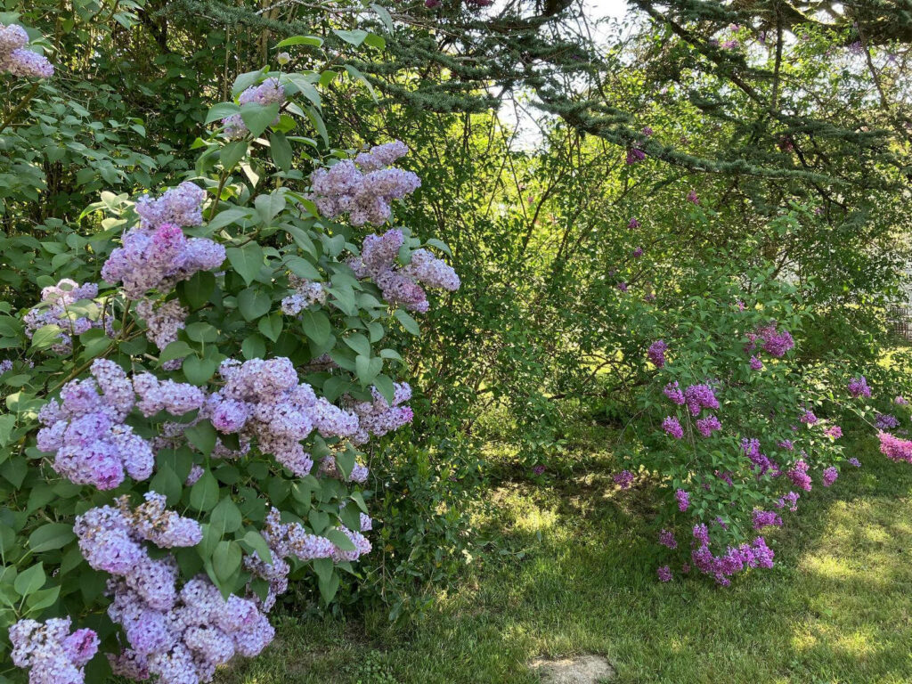 DOMAINE DE LA BORDASSE