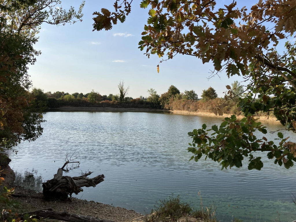 DOMAINE DE LA BORDASSE