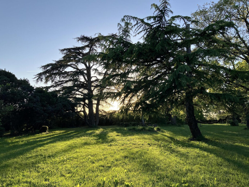 DOMAINE DE LA BORDASSE