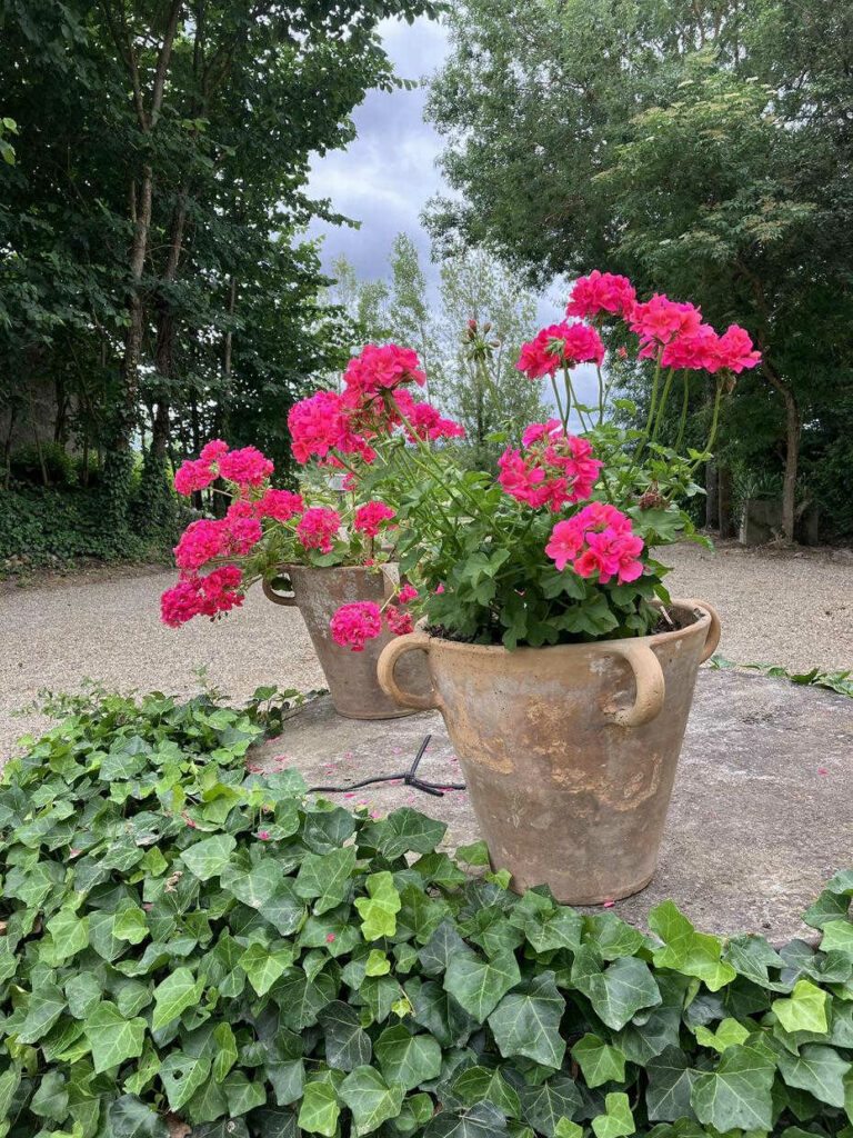 DOMAINE DE LA BORDASSE