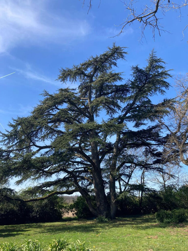 DOMAINE DE LA BORDASSE