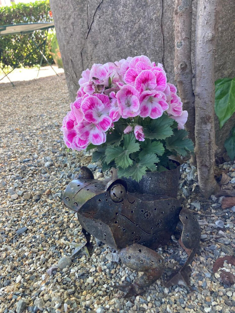 DOMAINE DE LA BORDASSE