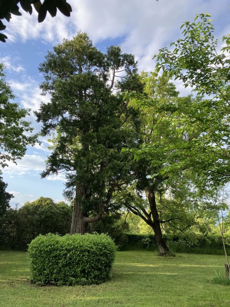 DOMAINE DE LA BORDASSE