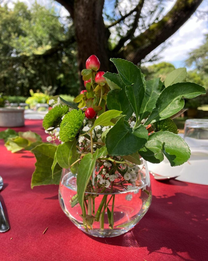 DOMAINE DE LA BORDASSE