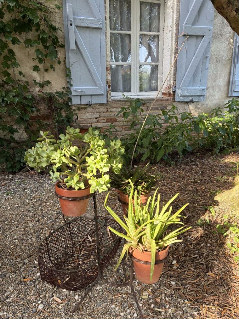 DOMAINE DE LA BORDASSE