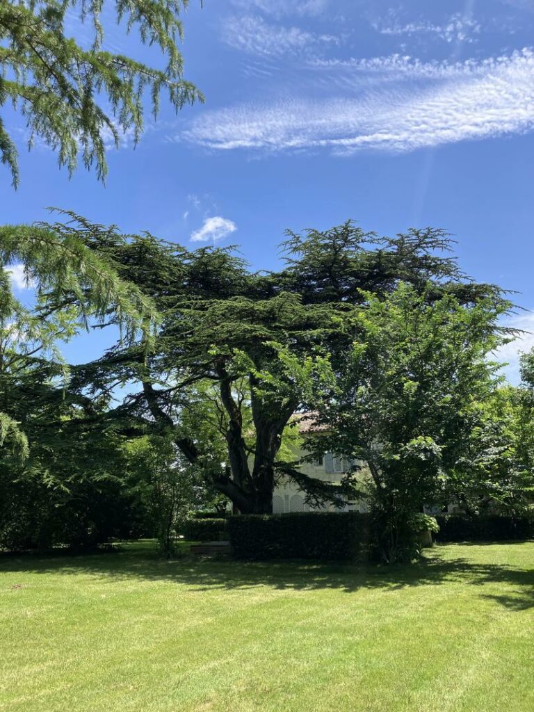 DOMAINE DE LA BORDASSE