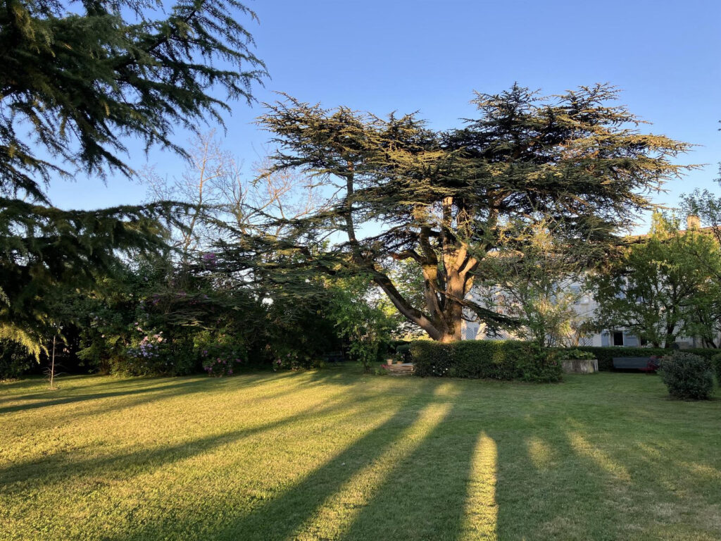 DOMAINE DE LA BORDASSE