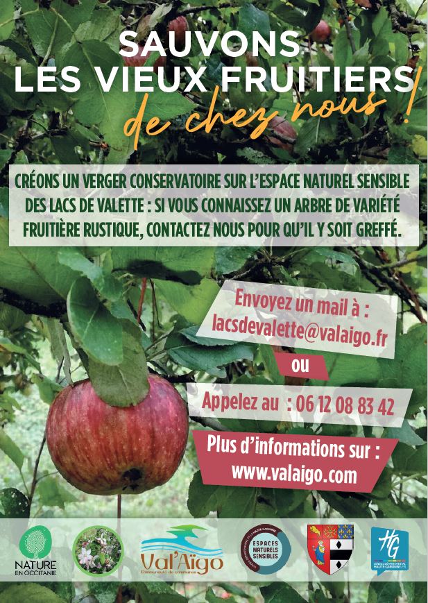 Read more about the article Sauvons nos vieux fruitiers !