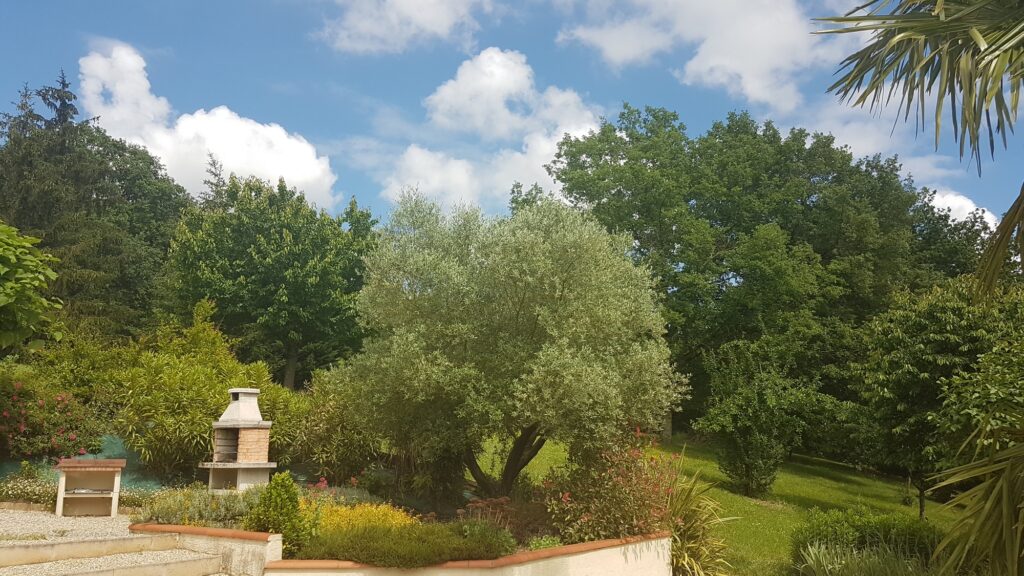 PETIT PARADIS SUR LE TARN